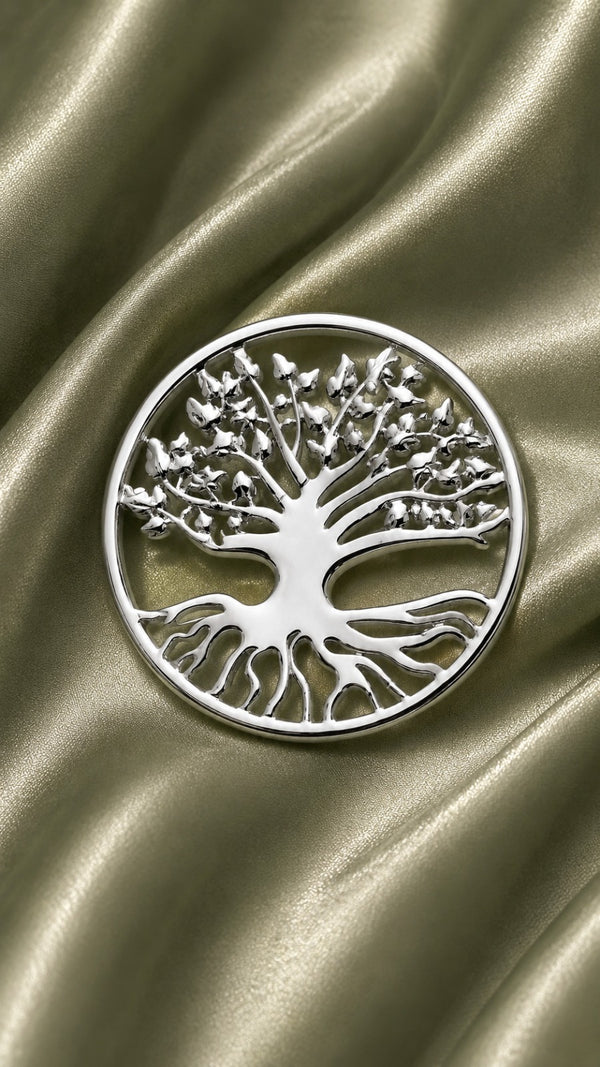 Broches – photo 8