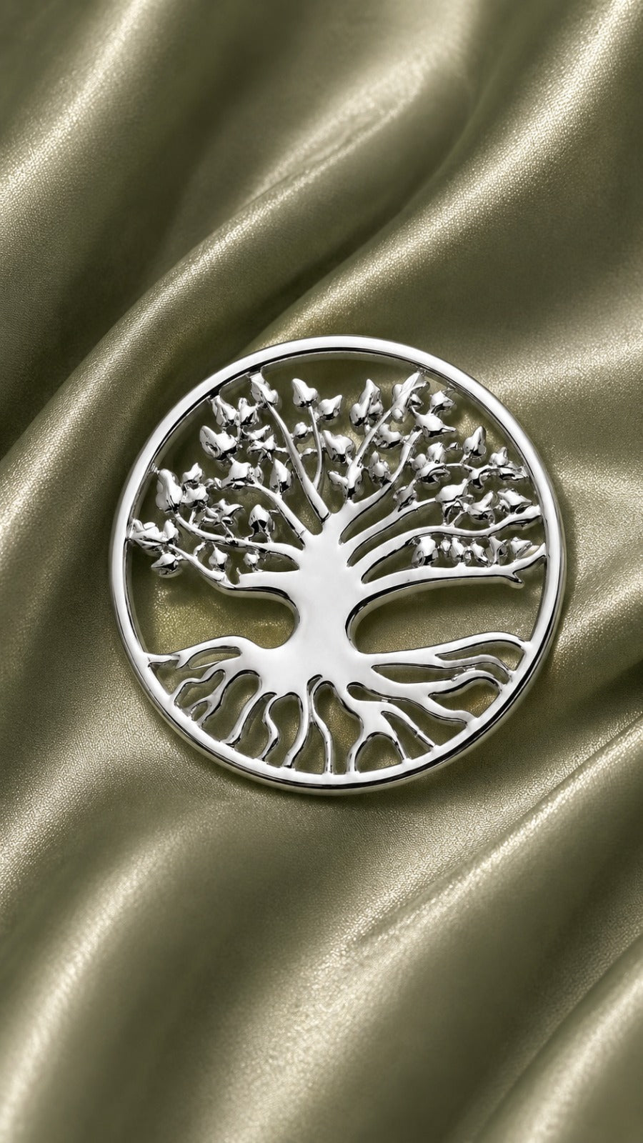Broches – photo 8